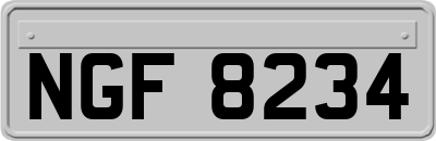 NGF8234