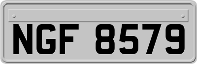 NGF8579