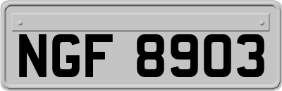 NGF8903