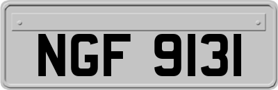 NGF9131