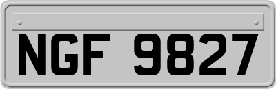 NGF9827
