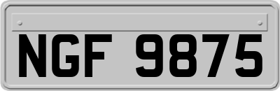NGF9875