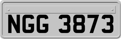 NGG3873