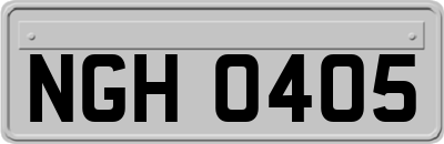 NGH0405