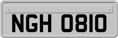 NGH0810