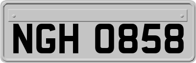 NGH0858