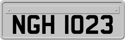 NGH1023