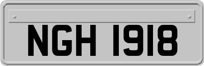 NGH1918