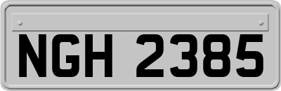 NGH2385