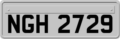 NGH2729