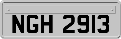 NGH2913