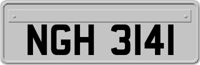NGH3141