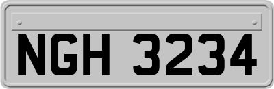 NGH3234