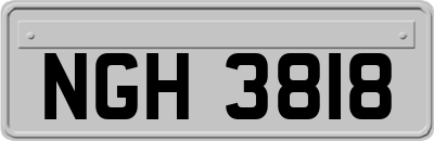 NGH3818