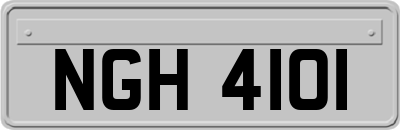 NGH4101