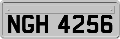 NGH4256