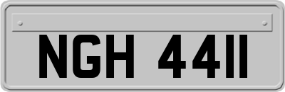 NGH4411