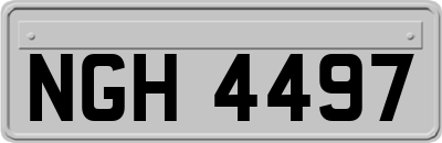 NGH4497