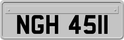 NGH4511