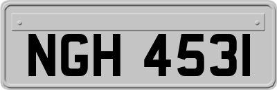 NGH4531