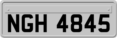 NGH4845