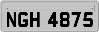NGH4875