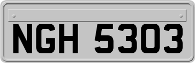 NGH5303