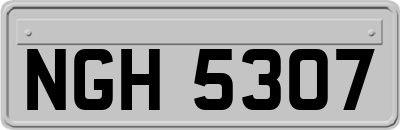 NGH5307