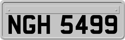 NGH5499