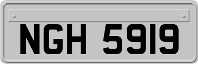 NGH5919
