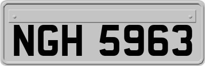 NGH5963