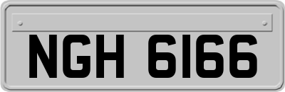NGH6166