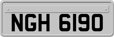 NGH6190