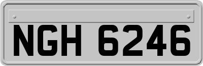 NGH6246