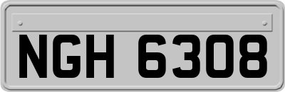 NGH6308