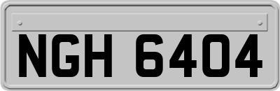 NGH6404