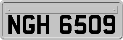NGH6509