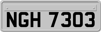 NGH7303