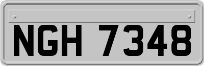 NGH7348