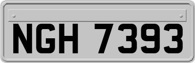 NGH7393