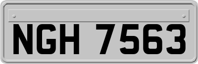 NGH7563