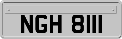 NGH8111