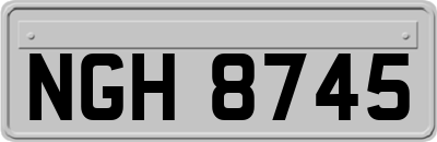 NGH8745