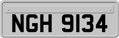 NGH9134
