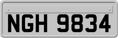 NGH9834