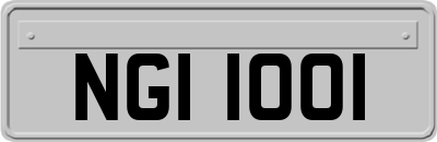 NGI1001