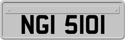 NGI5101