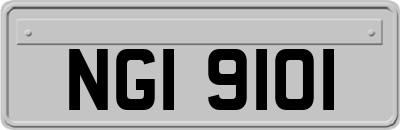 NGI9101
