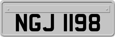 NGJ1198