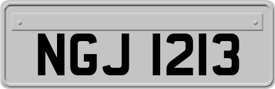 NGJ1213